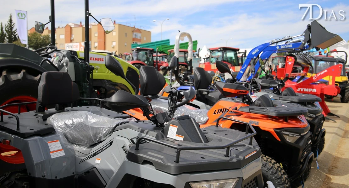 Zafra vuelve a ser el epicentro del sector ganadero: conoce todos los detalles de su feria