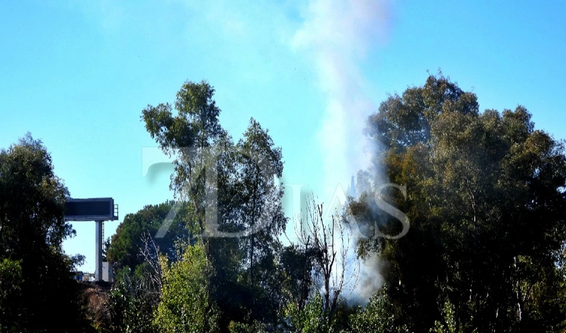 Controlan un incendio forestal en la A-5 a la altura de Badajoz