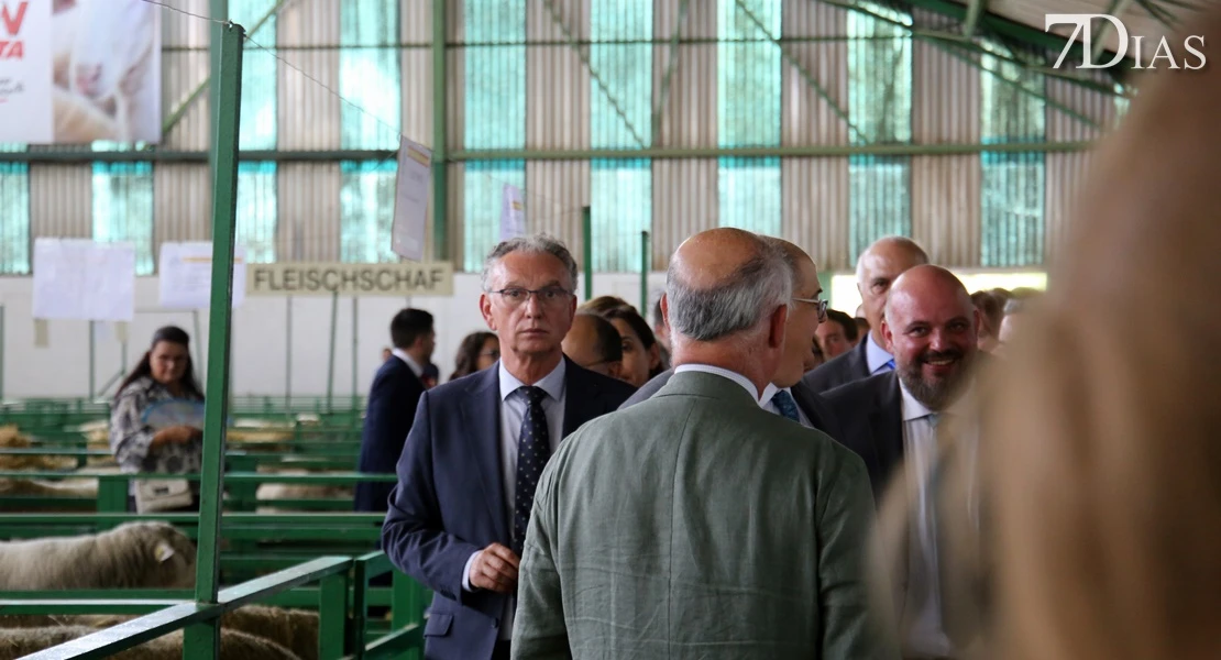 Zafra vuelve a ser el epicentro del sector ganadero: conoce todos los detalles de su feria