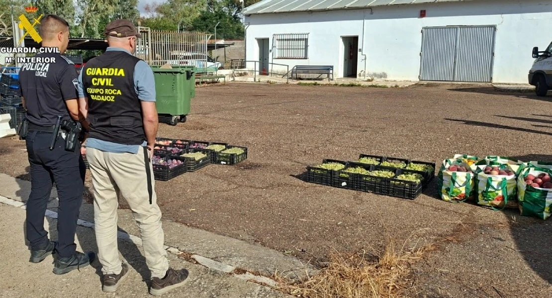 Ocho investigados por robar fruta en fincas de Badajoz y venderla de forma clandestina