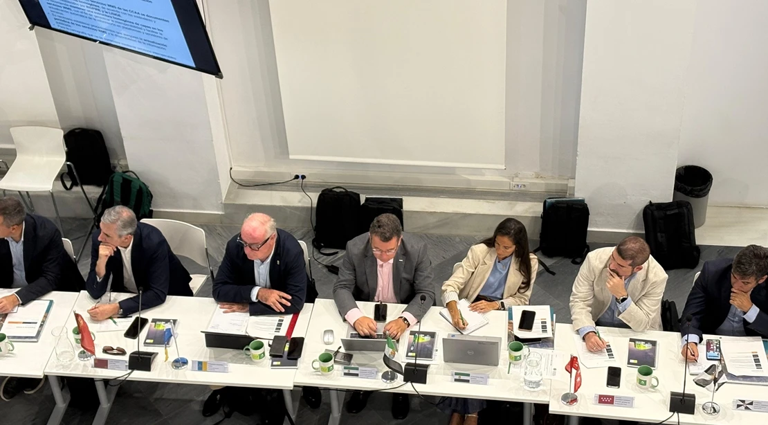 Extremadura propone organizar unas jornadas nacionales sobre comunicación en emergencias