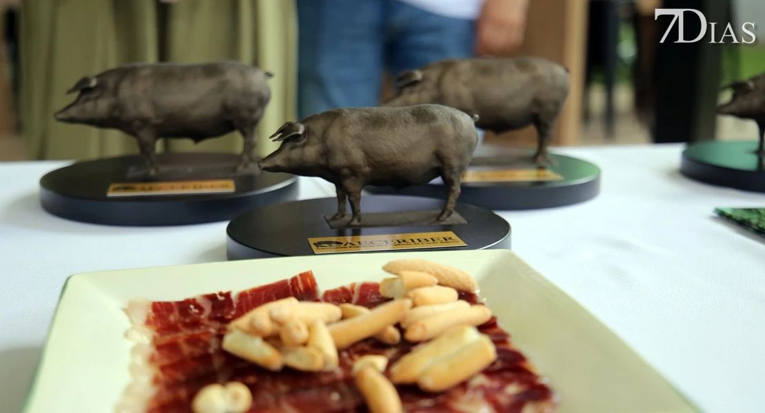 Zafra vuelve a ser el epicentro del sector ganadero: conoce todos los detalles de su feria