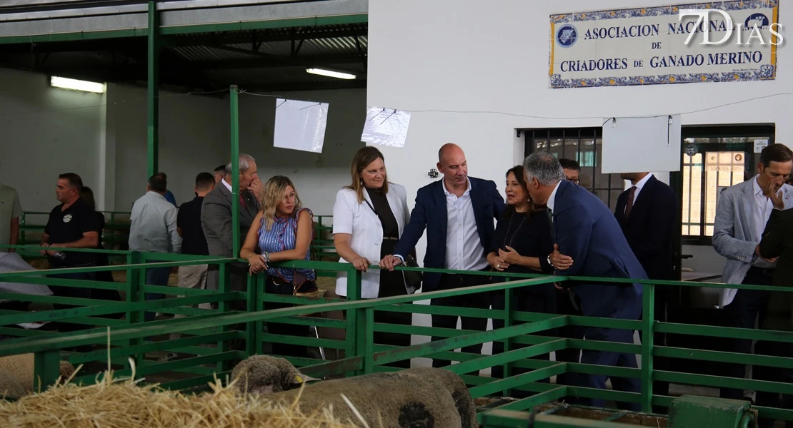 Zafra vuelve a ser el epicentro del sector ganadero: conoce todos los detalles de su feria