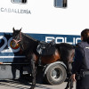 REPOR: La carrera 091 deja deporte, solidaridad y buen ambiente en Badajoz