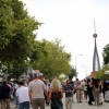 Zafra vuelve a ser el epicentro del sector ganadero: conoce todos los detalles de su feria