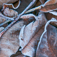 Conoce las localidades extremeñas con las temperaturas más bajas esta madrugada