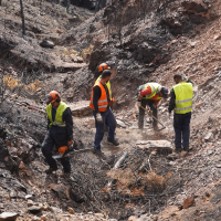 La CHT declara de emergencia los trabajos en zonas afectadas por los incendios forestales