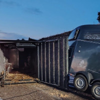 Vuelca un camión de caballos en la A-5 y un agente resulta herido por una coz