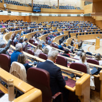 El Senado en España: qué es, cómo funciona y para qué sirve