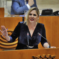 Manzano: "La enmienda del PSOE es un "copia y pega" de la que presentó en 2026"