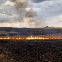 El Plan Infoex interviene en 25 incendios forestales