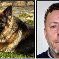 Siguen buscando al vecino desaparecido con un perro en Losar de la Vera