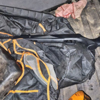 Atrocidad en Táliga: investigan a cinco jóvenes por matar a tiros a 12 gatos