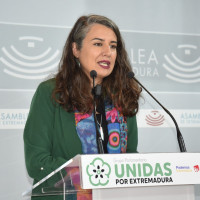 De Miguel: "El presupuesto de la Junta tiene anuncios vacíos y es propaganda”