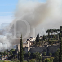 Un incendio forestal moviliza un amplio dispositivo en Badajoz
