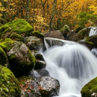 El Jerte se prepara para vivir un otoño de tradiciones, sabores y fiestas populares