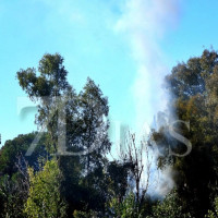 Controlan un incendio forestal en la A-5 a la altura de Badajoz