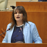 El PSOE acusa a la Junta de no acompañar el desarrollo de la gigafactoría de Navalmoral