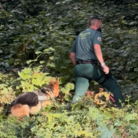 Retoman la búsqueda de Salva, el vecino desaparecido en Losar de la Vera