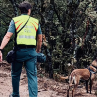 Sin noticias del desaparecido en Losar de la Vera: termina la fase de rastreo intensivo