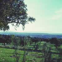 Avisan del impacto ambiental que supone el proyecto de alojamiento turístico en Cornalvo