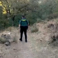¿Dónde está Salva? La Guardia Civil se vuelca con su búsqueda en Losar de la Vera