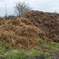 Denuncian fuertes olores a estiércol en varios barrios del norte de Cáceres