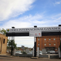 Zafra vuelve a ser el epicentro del sector ganadero: conoce todos los detalles de su feria