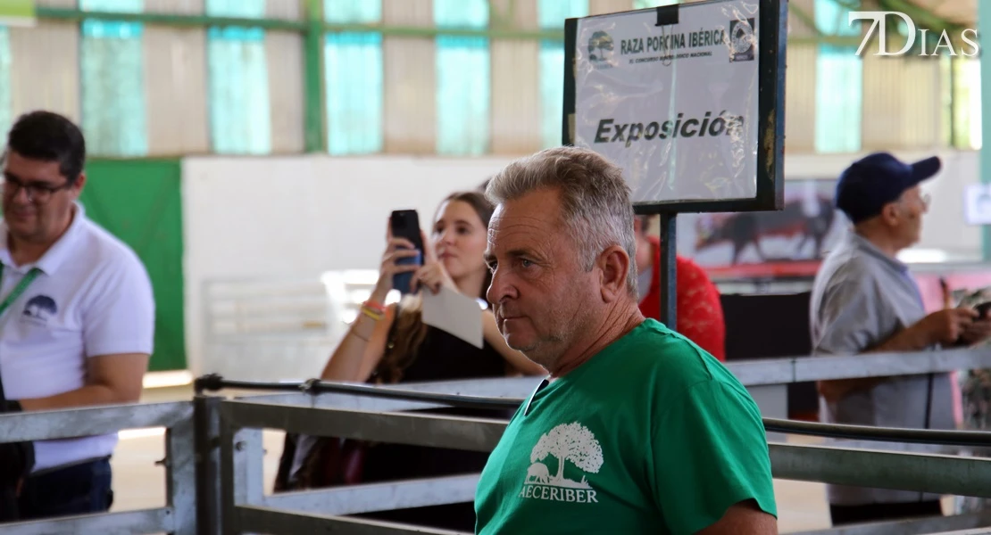 Zafra vuelve a ser el epicentro del sector ganadero: conoce todos los detalles de su feria