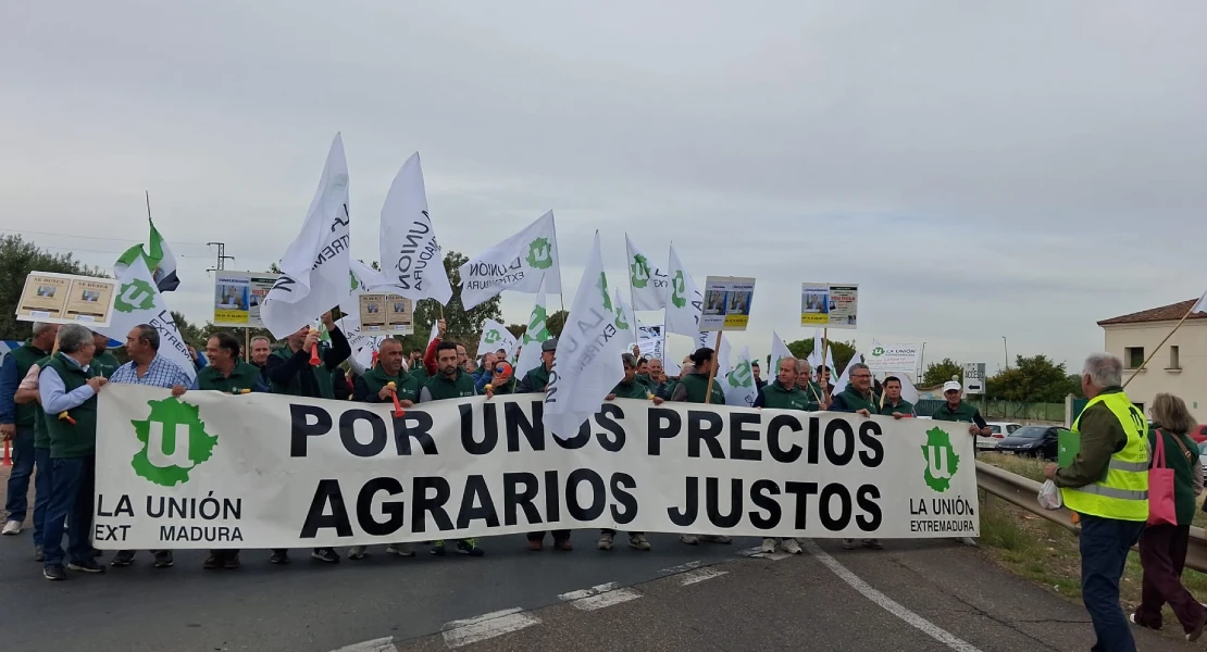 Los agricultores de la aceituna de mesa salen a la calle para exigir ayudas
