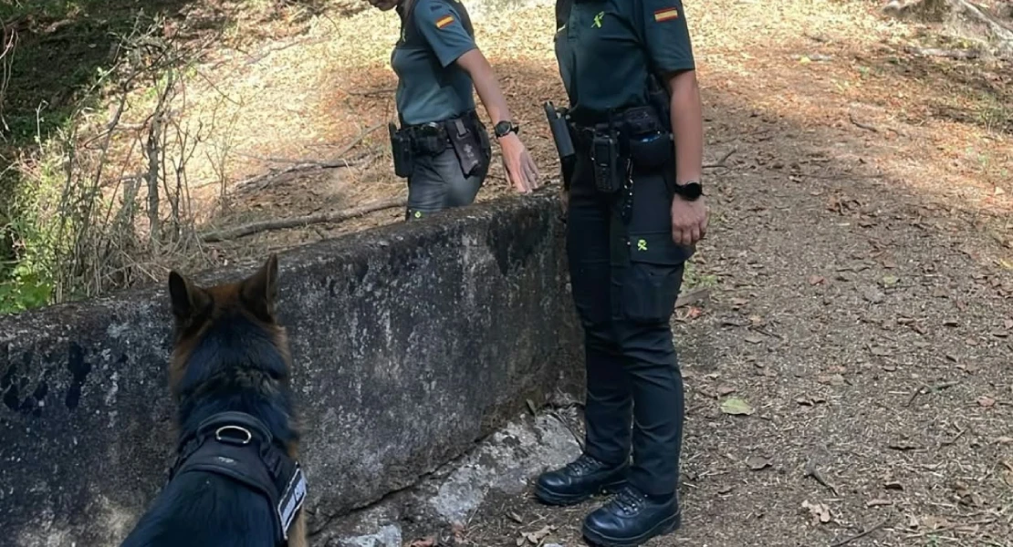 Localizan a la perra que acompañaba al hombre desaparecido en Losar de la Vera